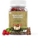 Jamur 10 Blend - Jamur dengan Lions Mane, Chaga, Reishi, Cordyceps 2500mg, Suplemen Otak untuk Memori dan Fokus