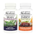 Bundle Host Defense dengan MycoBotanicals Brain * Capsules, 60 Count & MycoBotanicals Energy * Capsules, 60 Count - Dukung Memory & Focus - Dukung Energi Terlarang *