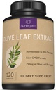 Premium Olive Leaf Extract Capsules - Standardized to 20% Oleuropein - Super Strength Olive Leaf Exact Support Imune System & Cardiovascular Health - 750mg Per Capsule - 120 Capsules
