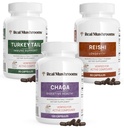 Reishi 415 Capsules Umur Panjang (90ct), Turkey Tail Mushroom Ekstrak Dukungan Imunitas (90ct), Chaga Ekstrak Suplemen Jamur (120 caps)