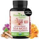 ForestLeaf Organic Sea Moss Capsules 124g Raw Seamoss Pills Advanced Superfood + Burdock, Bladderwrack for Digecourse, Respiratory, Imune Health 124; 90 Vegan Sea Moss Caps Organik