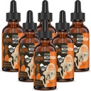 Kompleks Jamur Lipomal - Pengaruh 2000 MG - 20 Ekstrak Jamur Organik - Advanced Liquid Formula untuk Kebal, Kognitif dan Memori - Lions Mane Supplemen, Reishi, Cordyceps, Chaga, 180 Pelayan