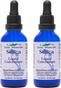 Eidon Liquid Silica Mineral Konsentrat - Silica Tambahan untuk Rambut, Skin dan Nails, Silica Drops untuk Dukungan Produksi Collagen, Tidak Ada Ditambahkan Gula - 2 oz, 2 Pack