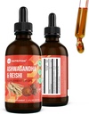 360 Nutrition Ashwagandha & Reishi Root Deplement Drops for Stress Relief, Stamina & Longevity, and Energy Support - Vegan Non-GMO Adaptogenic - 4 flf oz, 60 Servings