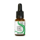 Mencari Obat Lactase Drops - Suplemen Liquid dengan Lactase Enzyme untuk Dukungan Intoleransi Dairy - Dukungan Intoleransi bagi Divalry - Lactase Enzyme Suppplemen - 0.50 Fl oz, 52