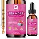Sea Moss Liquid Drops - Organic Black Seed Oil Irish Sea Moss Gel with Burdock Root, Bladderwrack, Elderberry, Vitamin C, D3, 6X Stronger Seamoss Gel for Digetsy, Hair Health - Vegan
