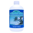 Eidon Electrolytes - Liquid Electrolyte Drops, Ionic Mineral Suplement to Add to Water, Replenish & Saldo The Electrolite Equilibrium, Hidration Duption, Unsweeved Sugar Free - 18 oz