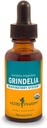 Herb Pharm Grindelia Ekstrak Cair untuk Sistem Repiratory Dukungan - 1 Ounce (DGRIND01)