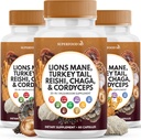 Lions Mane Jamur Tambahan dengan Turkey Tail Reishi Cordyceps Chaga dengan Marshmallow Root - 180 Cacah