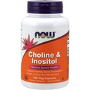 Sekarang Choline dan Inositol 500mg, 100 Capsules (Paket 2)