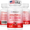 Urolithin A Supplemen 1400 MG - Non- GMO, Gluten- Free, Anti- Aging, Cellular Renewal, Kekuatan Otot, Endurance & Umur Panjang Dukungan, Lipomal Urolithish A, 60 Count