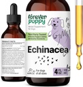 Forever Puppy Echinacea Drops for Dogs - Imunity Support & Respiratory Health w / Echinacea Herb Extract - Liquid Immune Supplemen untuk Dogs of All Breeds & Sizes - 4 oz