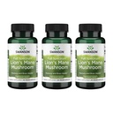 Swanson Lion 's Mane Mushroom - Suplemen Brain Booster Tradisional Dibuat dari Hericium Erinaceus (60 Capsules, 500mg Masing-masing) 3 Pack