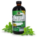 Nature 's Answer Liquid Chlorophyll, 100 mg, 16 fl oz (480 ml)