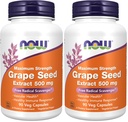 Suplemen SEKARANG, Ekstrak Benih Grape, Maksimum Kekuatan 500 mg (Ekstrak Sangat Terkonsentrasi dengan Minimal 90% Polyphenol), 90 Veg Capsules, Merah / Brown, 0.25 pound (Paket 2)