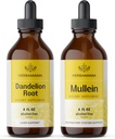 HERBAMAMA Herbal Drops Kit - Bundle of Dandelion Root dan Mullein Leaf Taincture oz - Vegan, Non-GMO, Sugar & Alcohol-Free - 2 Pack