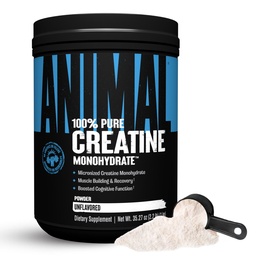 Hewan Creatine Monohydrate Powder - Micronized Creatine for Women and Men, Support Muscle Growth, Power, Endurance, Recovery dan ATP Produksi, Gym & Workout Suplemen - Unflashored, 1kg