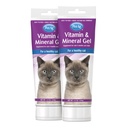 PetAg Vitamin & Mineral Gel Tambahan untuk Kucing - 3.5 oz, Paket 2 - Menyediakan Harian Dasar Vitamin & Mineral untuk Kucing 4 Bulan dan Lebih Tua - Mudah Digest