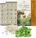 Oreganic Plus Mastic - Oregano Estious Oil Capsules & Chios Mastic Gum Oil - Wild Oregano Oil Capsules Organik - Imune Booster dan Dukungan Intestinal - Non-GMO - 30 Count Blister