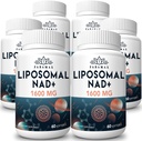 1600 mg Lipomal NAD Support, 98% Pure NAD + Superior Absorpsi, Alternatif untuk Nicotinamide Ribside atau NADH untuk Boost NAD + untuk Aging Pertahanan, Energi, Umur Panjang, 360 Softgeels