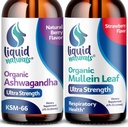 Wellness LABSRX Mullein Leaf Drops for Lungs, 2 Fl.