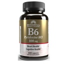 VIT B-6 TAbs 100 MG WMELL 100