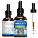 Pet Wellsing Young at Heart for Cats - Vet- Formulated - Heart Health, Circular & Cardiovascular System, Hawthorn, Motherwort, Schisandra - Herbal Supplemen 2 oz (59 ml)