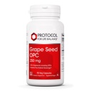 PROTOCOL UNTUK KEHIDUPAN Grape Benih OPC - 250mg - 90% Polyphenols - dengan Rutin & Amla Ekstrak Buah - Grape Benih Capsule - Non-GMO & Kosher - 90 Veg Caps
