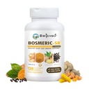 Suplemen Dukungan Immune Bersama, Blend Blend Curcumin C3 Kompleks dengan Black Pepper, Boswellia PS Ekstraksi & Ginger, Fate 20 menit, 8- Hour Dilanjutkan Rilis, 120 Caplets - Sanjevani