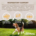 Doggie Condiments Pet Respiratory Dupport A Natural Dog Supplement for Optimal Dog Breathing, Clear Sinuses, Batuk, Sneezing and Contraffic Relief for Dogs