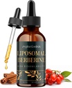 Lipomal Berberine Drops Suplemen 3000mg - Aktivator AMPK Tinggi, Kompleks HCI Berberine Organik dengan Ceylon Cinnamon & Ginger untuk Imune & Difficule (2 fill oz)