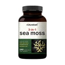 Irlandia Moss Capsules Laut, 3.000mg Per Serving, 240 Veggie Pills 124; Dibuat dengan Poader Raw Organik, Plus Bladderwrack & Burdock Root, Kompleks Sea Vegetable - Imune & Thyroid Superfood Support - NN-GMO