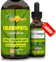Klorofil Liquid Drops 100% Vegan Organik - Energi dan Imune System Booster Tambahan dengan Mint Flavor untuk Air - Natural Internal Deodoran - Ekstra Kekuatan 6000mg 120 Hamba
