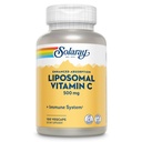 Vitamin C 500mg Lipomay Lipomal - Enhanced Absorpsi Vitamin C Lipomal Blend with Fatty Accids - AntiokhidanAmmune Suppport - Vegan, 60- Day Afficitee, 100 Servings, 100 VecCaps