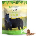 Silver Lining Herbs Gut Dupport Horse Suplemen - Gut Health & Digetical Supplemen untuk Kuda - Advance Advance Herbal Blend of Licorice, Slippery Elm & Lebih - 1 lb 60- Day Supply