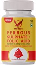Iron 65mg Ferrous Sulfate Hoag 's Iron 65mg dengan Calcium & folic Acid Suplement Dupport red Blood Cell Production - 90 Veg Tablet
