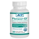 Floracor - Mendukung Gut & Intestinal Kesehatan - Premium Probiotic, Prebiotic dan Enzyme Formula - 60 Vegetarian Capsules