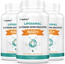 Organbasi Lipomal NAD + Suplemen 500 mg, Absorpsi Tinggi, Boost NAD + dengan TMG 250 mg, Actual NAD Plus More Efisien Dari Nicotinamide Riboside, Dukungan Energi Cellular, Penuaan sehat 124; 180 Softgels