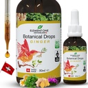 Tabrakan Botanical Natural - Jahe and Digetical Enzymes in an Organic Formula for Comprehensive Wellness, Dukung Immune System, Provious Inflammation Relief, and Enhance Blood Circulation (50ml)