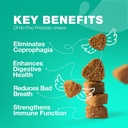 Tidak ada Poo Chewables untuk Dogs - Enzymes, Progories Dog untuk Kesehatan Digetical - Canine Digeptical, Gut & Immune Health Supplemen