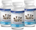 Anjing kandung kemih ginjal - anjing anjing pengusir URINARY SUPPORT - Natural CRANBERRY SOLUSI - BLADDER HEALTH - VET RECOMMED - bubuk tambahan cranberry anjing - 3 Botol (270 Trets)