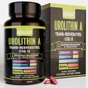 Urolithin A Suplemen untuk Wanita Kerja Urban: Anti- Aging Capsules dengan Trans- Resveratrol dan CoQ10 - Lab USA Verifikasi Dukungan Penuaan Kesehatan dan Sel Renewal 9in1