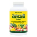Natures Plus Source of Life Prenatal - 800 mcg Folate, 90 tablet Vegetarian - All Natural Prenatal Vitamin & Mineral with Iron & Calcium - Optimal Health & Energy - Gluten- Free - 45 Servings