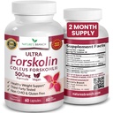Ultra Pure Forskolin untuk Manajemen Berat Maksimal 124; Coleus Forskohli Root Extract Powder, 40% Suplemen Lean Standardisasi untuk Kompleks Pria & Perempuan 124um Ekstrim - 60 Capsules