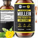 HERBIFY Mullein Extract 2 oz Tacture for Respiratory Health, Mullein Leaf and Flowers Blend (Verbacum Densiflorum)