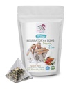 Vitamin pernapasan - RESPIRATORY DAN LUNG SUPORT TEA 14 hari dengan Cinnamon, Hibiscus, Marshmallow Root, Astralus, Peppermint, daun teh eukaliptus 1 Paket 14 Tea Bags
