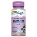 SOLARAY Bilberry Berry Extract 60 mg Per Capsule, powerful Antioksidant, Dijamin Potency for Heally Vision & Circulation Dukung 120 Vegan Caps