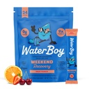 Waterboy Weekend Recovery 124; 3.200mg Electrolyte Powder Pewrents = 124; Ginger + L-Theanine + Vitamin = 124; No Sugar, All Natural, Gluten Free Chowet 124; 24 Minuman Stick Mixes (Fruit Punch)