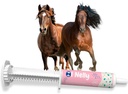 Protein Kuda (80cc), Pra dan Progities + Vitamin & Minerals- 4 Strains dan 8 Milyar CFU per Servis - Imune dan Gastro Kesehatan Dukungan untuk Equines