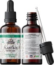 Plantain Tincture, Organic Plantain Extract (Plantago Major) Dried Leaf Health Suplement, Non-GMO di Cold- Menekan Organic Vegetable Glycerin 2 oz, 670 mg
